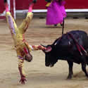 bullfight