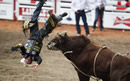 flying bull rider